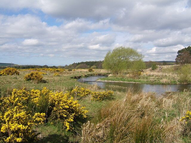 Kale Water NW. of Morebattle This area was a shallow lake until drained in the 19th Century - contour lines are almost completely absent from this grid square. The trees in the distance occupy Lake Point.