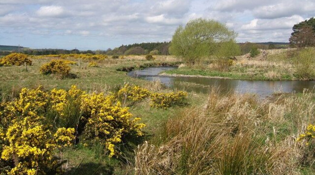 Kale Water NW. of Morebattle This area was a shallow lake until drained in the 19th Century - contour lines are almost completely absent from this grid square. The trees in the distance occupy Lake Point.