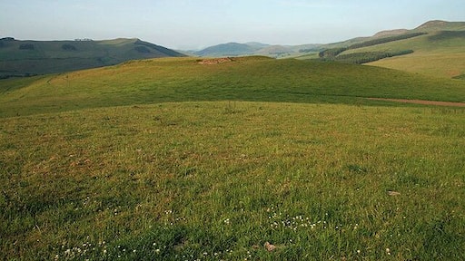 A hill fort on Morebattle Hill A small fort to the northeast of the main summit hill fort, viewed on a fine evening in late June.