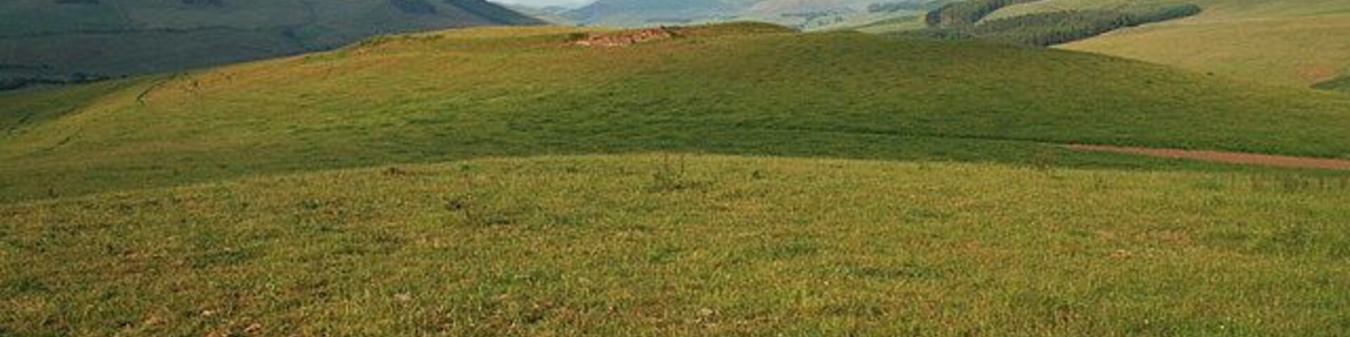 A hill fort on Morebattle Hill A small fort to the northeast of the main summit hill fort, viewed on a fine evening in late June.