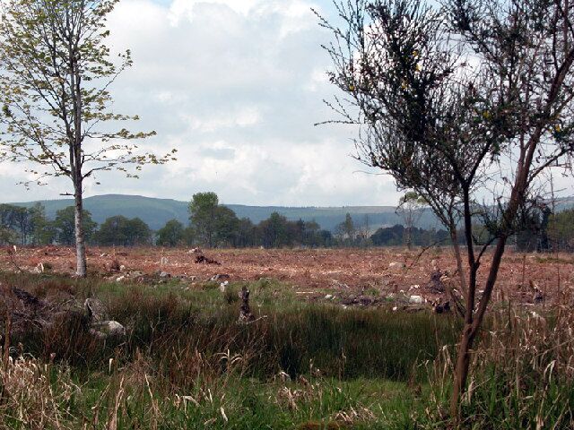 Forestry operations. The aftermath of Forestry operations south of Monymusk, Aberdeenshire