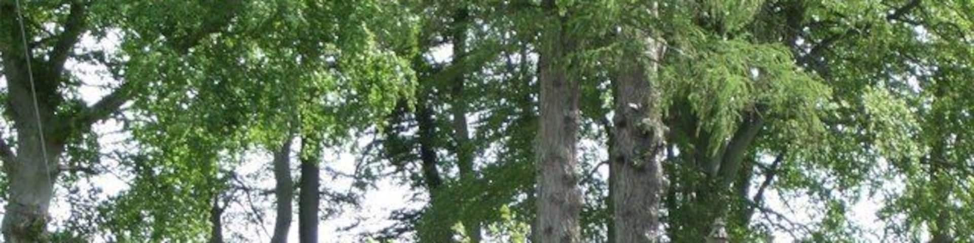 Gated entrance to House of Monymusk From Kemnay to Tillyfourie road.