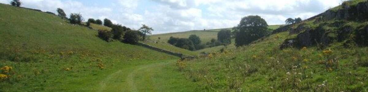Footpath through meadow Approaching top end of Lathkill Dale