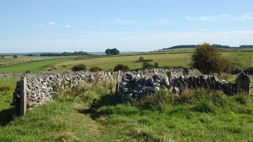 Footpath at Fern Dale