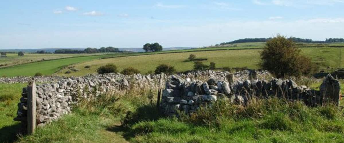 A stone wall in a grassy field with a clear sky.