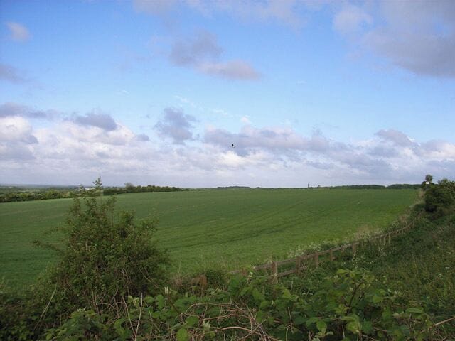 Northwest of Basingstoke. View from the Shothanger crossroads. A Lapwing can just be seen in flight in the centre of the picture.
