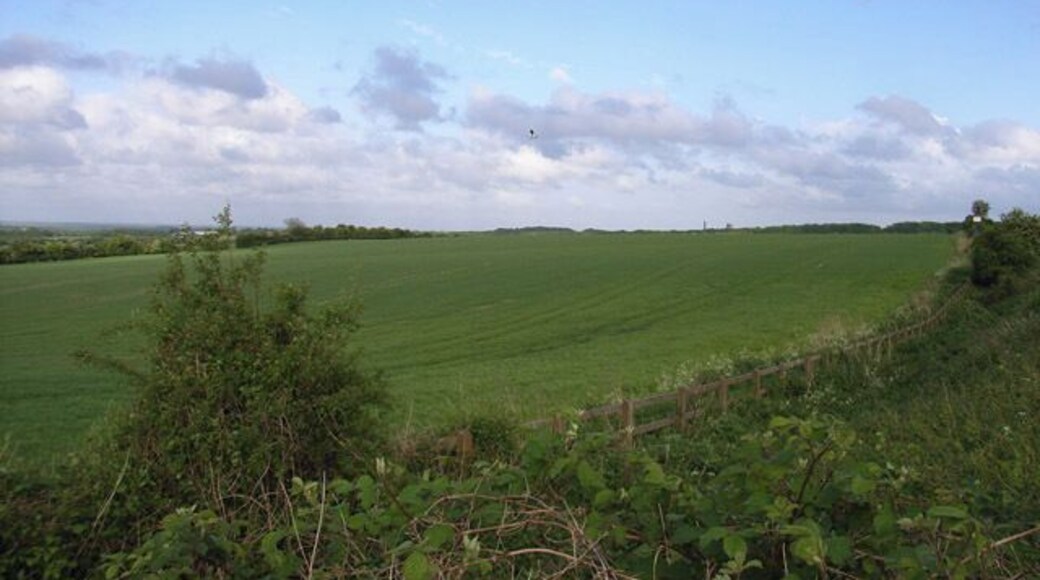 Northwest of Basingstoke. View from the Shothanger crossroads. A Lapwing can just be seen in flight in the centre of the picture.