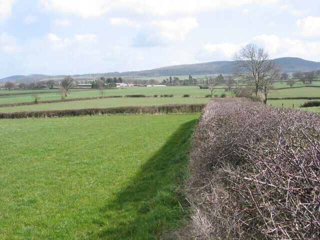 View East from the 113m hill