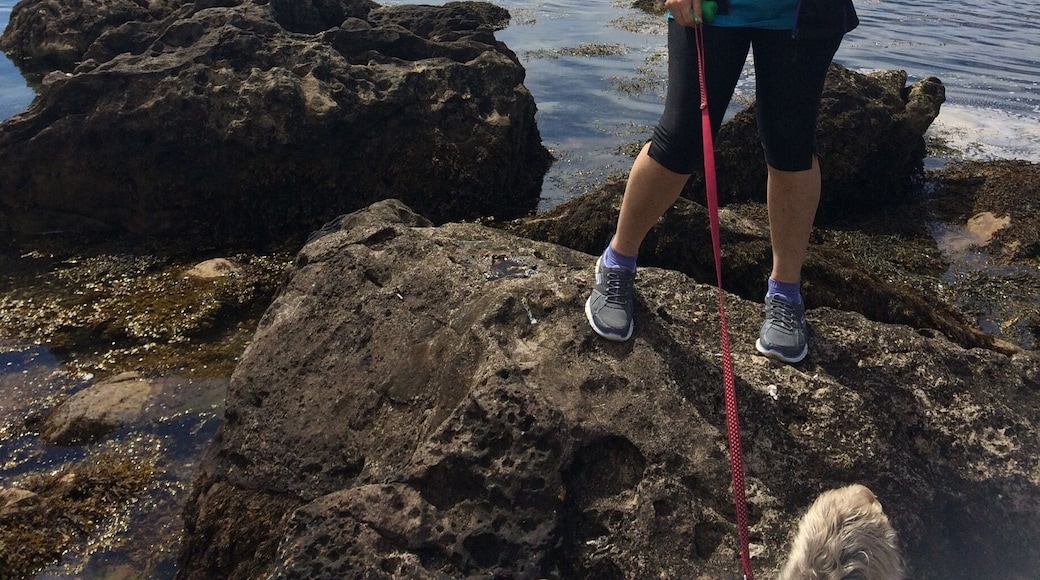 Lovely day out to Millport. Took ferrie from Largs,takes about 15 minutes. We took bus into Millport but loads of people were cycling or walking around the small island.