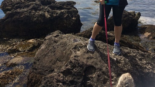 Lovely day out to Millport. Took ferrie from Largs,takes about 15 minutes. We took bus into Millport but loads of people were cycling or walking around the small island.