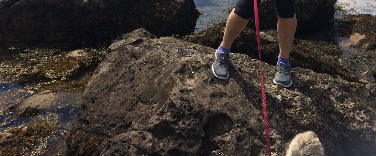 A person standing on rocky terrain near a body of water with a sailboat in the distance.