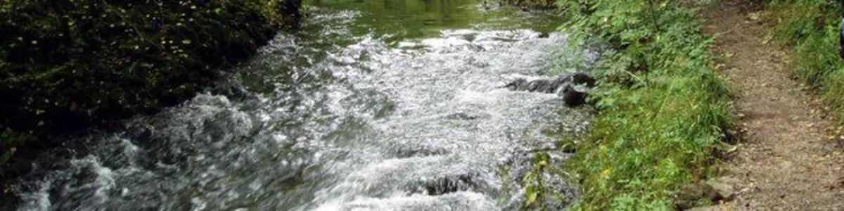River Wye at Miller's Dale