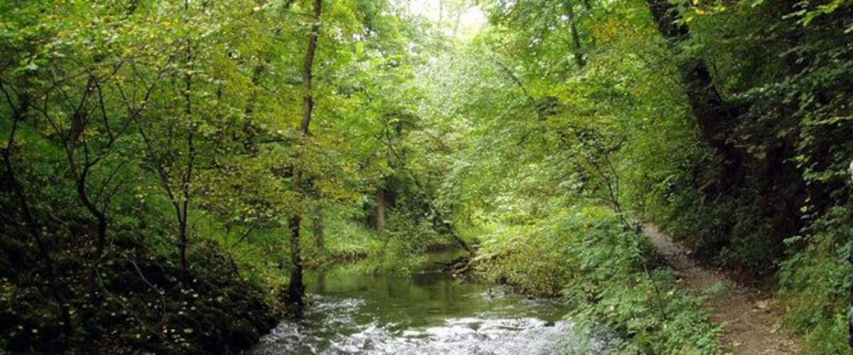 River Wye at Miller's Dale