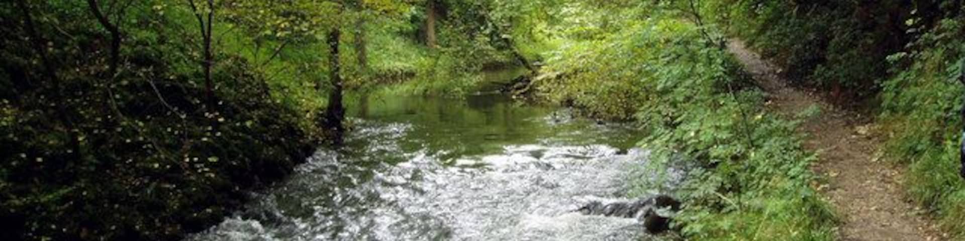 River Wye at Miller's Dale