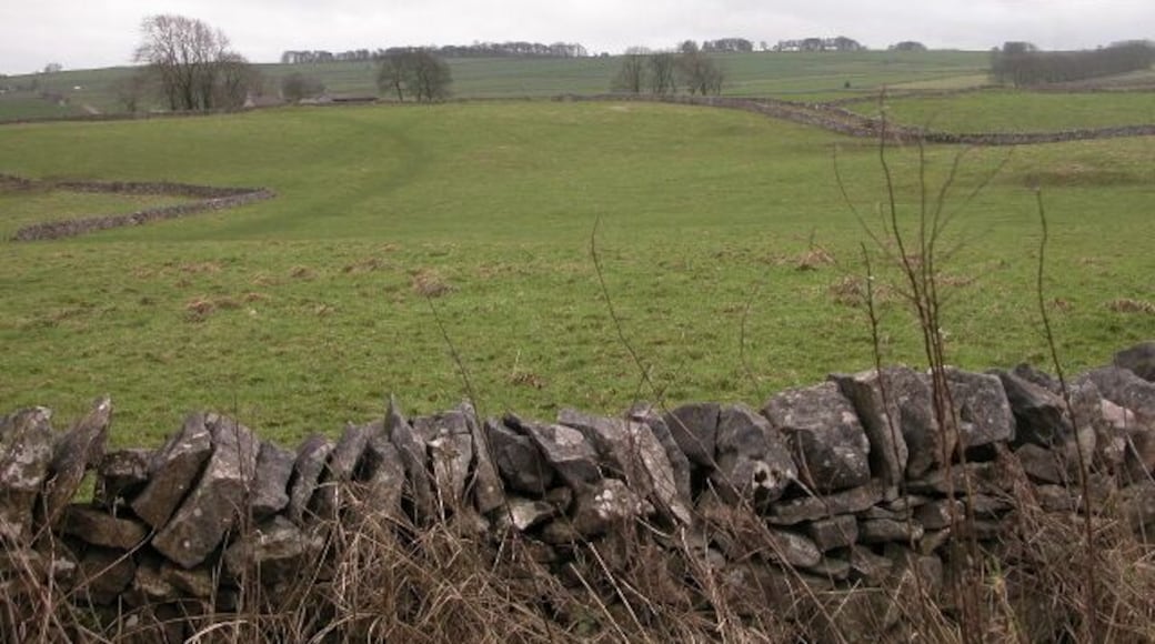 Over the fields to Back O Th Hill farm Typical farmland outside the village of Flagg