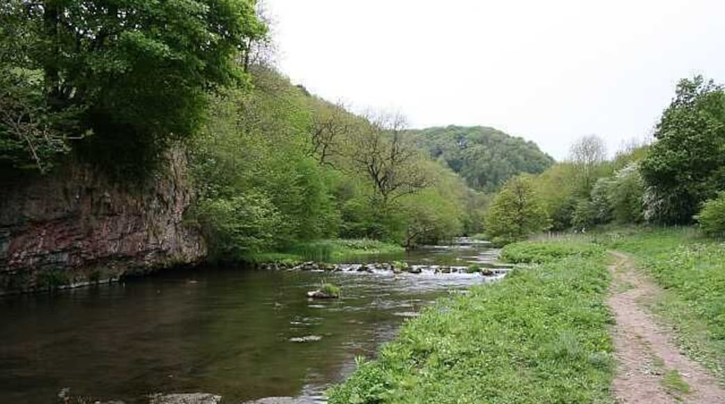 Chee Dale These "weirs" are marked on the OS map; taken just upstream of the footbridge.