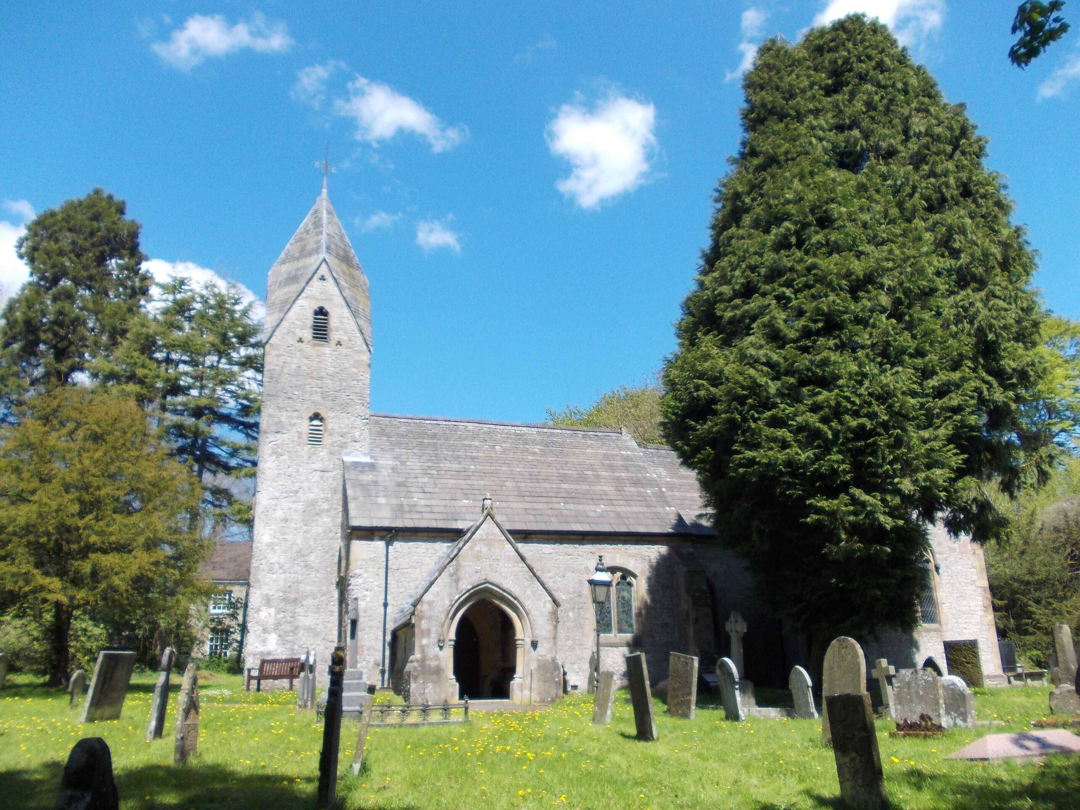 A church with a tall tower and a large tree in front.
