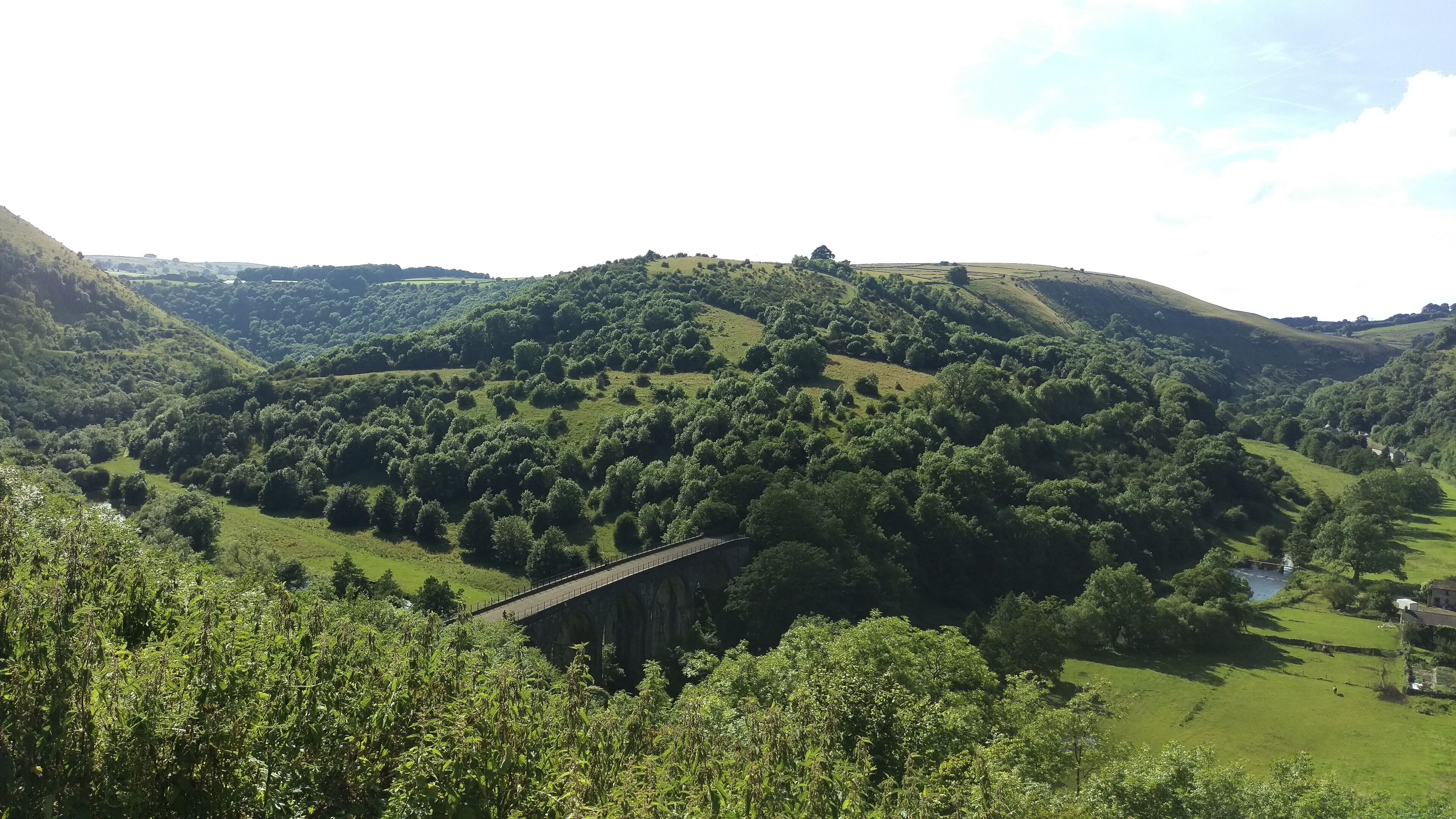 A valley with rolling hills, a bridge, and scattered trees.