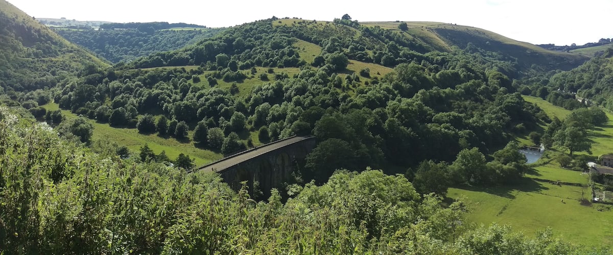 A valley with rolling hills, a bridge, and scattered trees.