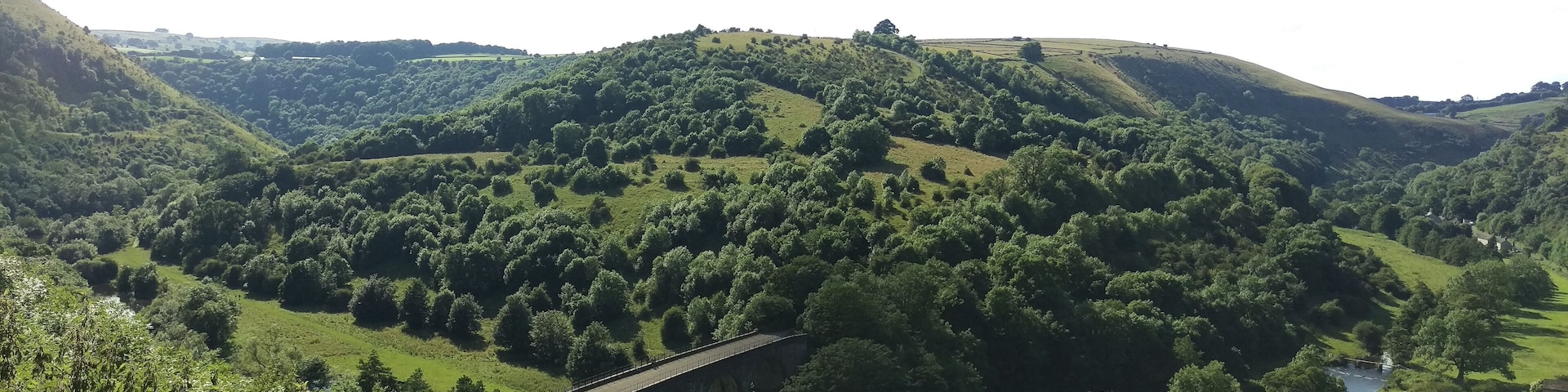 A valley with rolling hills, a bridge, and scattered trees.