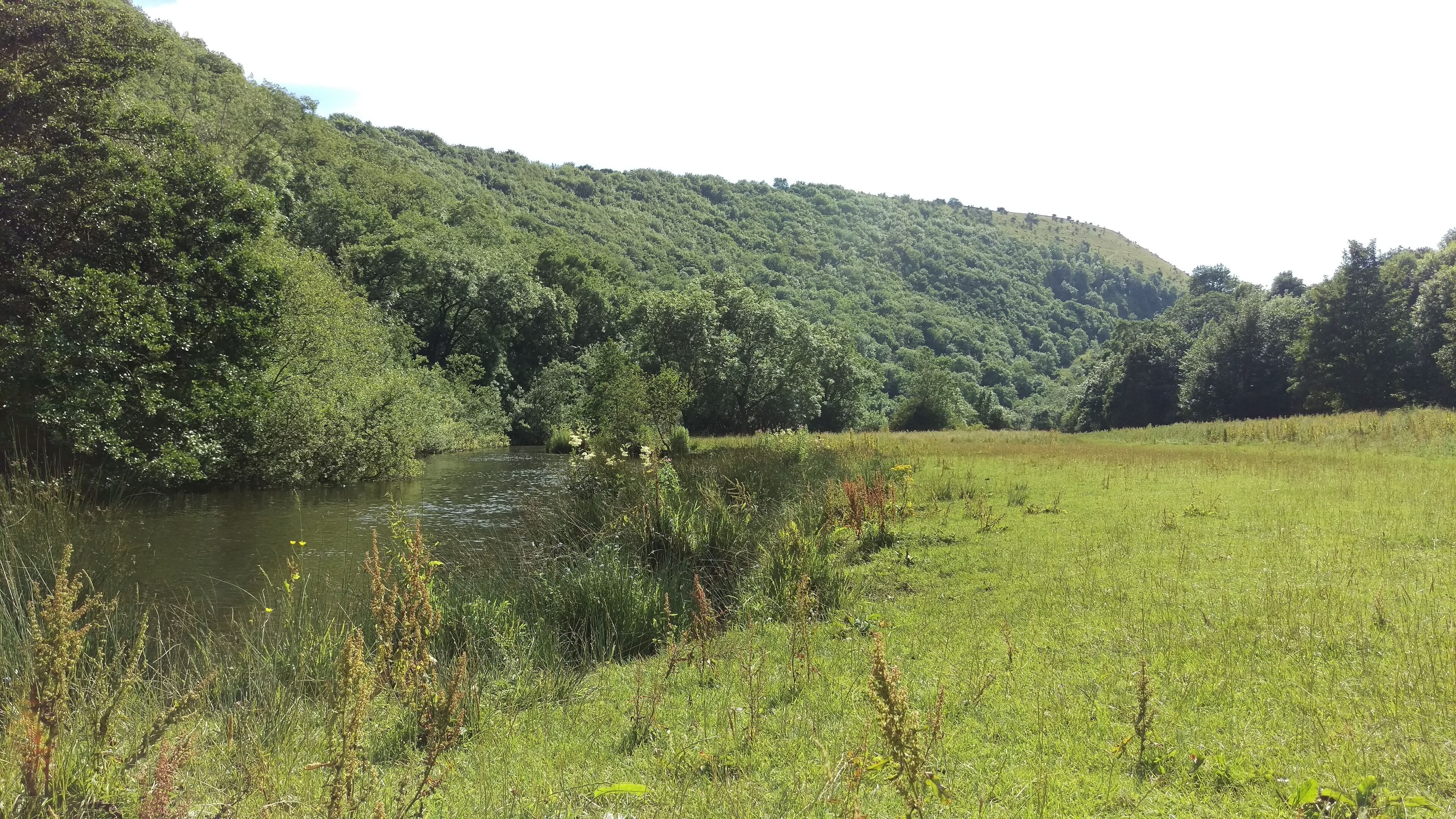 Monsal Head, River Wye