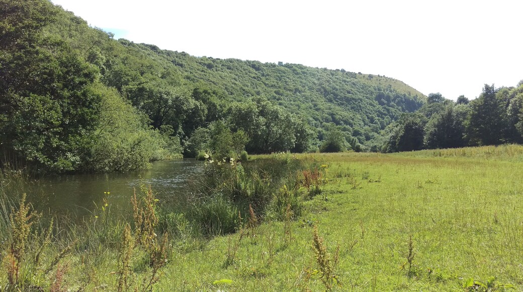 Monsal Head, River Wye