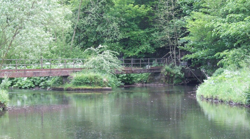 Litton Mill is a small hamlet built round a former cotton mill, in Millers Dale, on the River Wye near Bakewell in the Derbyshire Peak District in the United Kingdom. The footbridge. Camera location 53° 15′ 14.4″ N, 1° 45′ 46.8″ W View this and other nearby images on: OpenStreetMap - Google Earth 53.254000; -1.763000