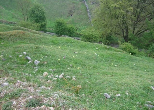 Lead rakes The mounds and hollows on the daleside are relics of old lead mining activity.