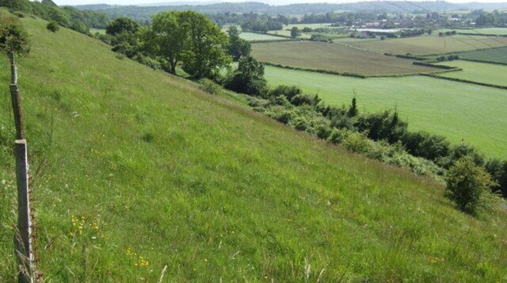 Fine view over Milborne Port In the right distance, just within the gridsquare, are the glasshouses of Wheathill Garden Centre.