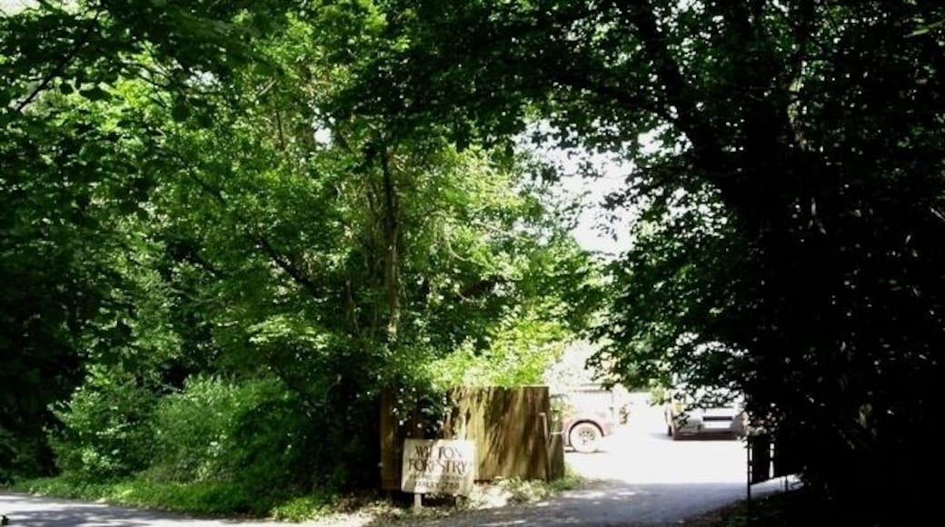 Entrance to Wilton Forestry. Situated off Livery Road in Bentley Wood, Wilton Forestry produces stakes.