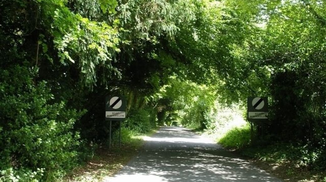 "Leaving village" sign, West Winterslow. Although ubiquitous in France, it's unusual to see "leaving village" signs in England. Here's the exit from West Winterslow, on Weston Lane, which leads to Middle Winterslow.