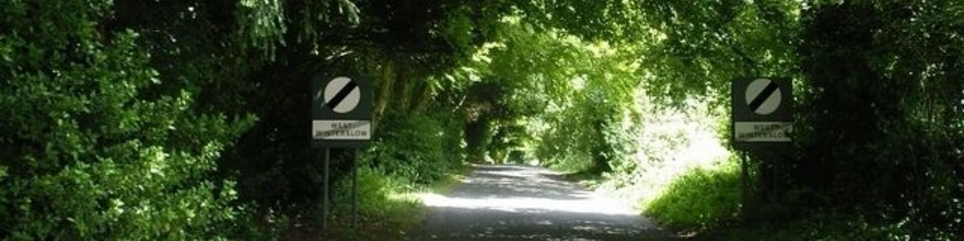 Uma estrada estreita ladeada por vegetação verde densa, com duas placas indicando proibido a veículos.