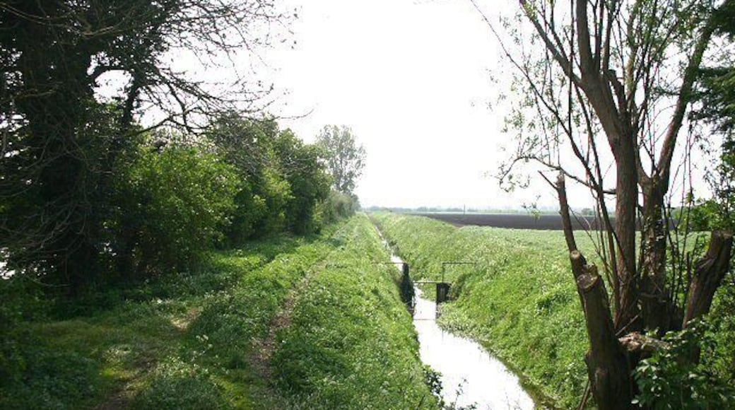 Drain near Severals Farm This drainage ditch leads southwards from a minor road near Severals Farm, just west of Methwold Hythe.