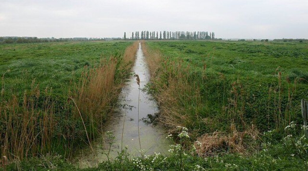 Queen's Ground This drain heads south across an area of Methwold Fen known as Queen's Ground.