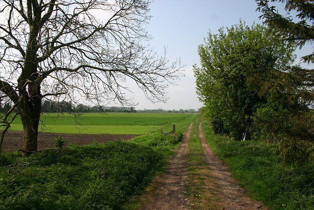 Farm track at Methwold Hythe This track leads westwards from a minor road near Methwold Hythe, leading to low-lying fenland.