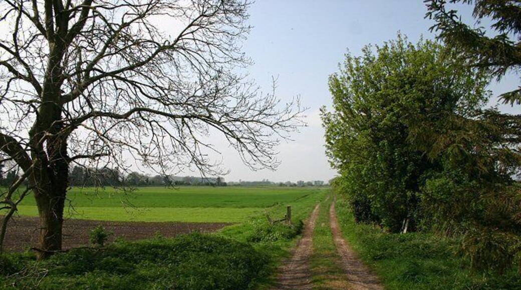 Farm track at Methwold Hythe This track leads westwards from a minor road near Methwold Hythe, leading to low-lying fenland.