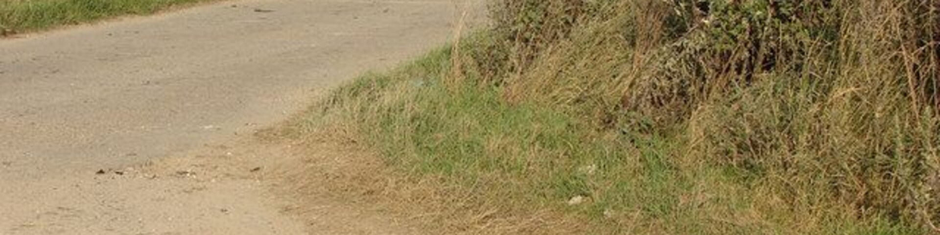 Old Methwold airfield perimeter track Now used as a farm track
