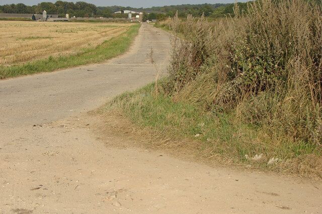 A rural dirt road flanked by fields and vegetation.