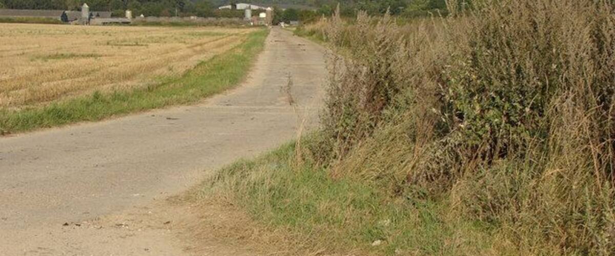 A rural dirt road flanked by fields and vegetation.