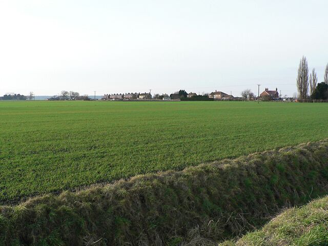 Um campo verde com uma vala em primeiro plano e casas ao fundo.