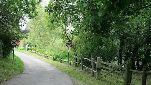 The pond, Saltham Lane A pond beside Saltham Lane just short of Runcton Manor. Despite the 30mph restriction signs, the road leads nowhere, and becomes a private drive/public footpath just behind the photographer.