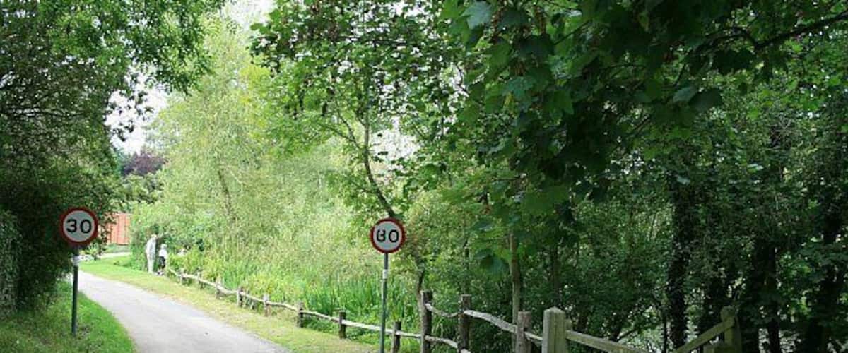 A narrow rural road with speed limit signs of 30 mph, surrounded by lush greenery and a wooden fence.
