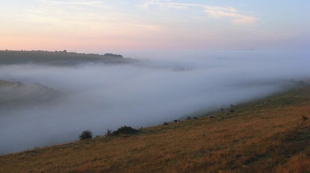 Downland, Mere Mist sitting in Aucombe Bottom, one of the combes incised into the scarp above Mere.