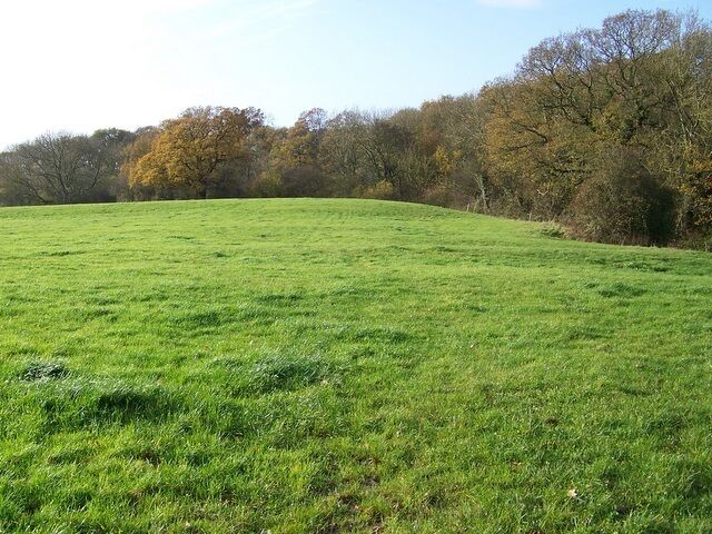 Un campo cubierto de césped con árboles al fondo.