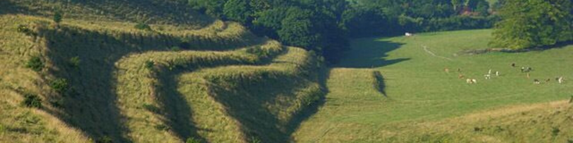 Un paisaje montañoso con campos en terrazas y casas dispersas a lo lejos.