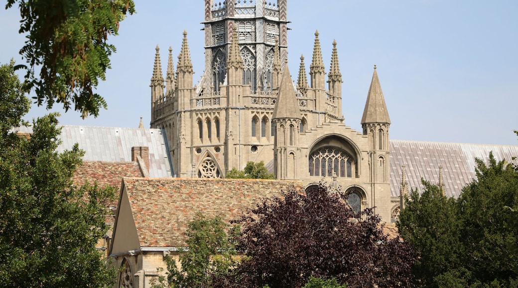 A Gothic-style cathedral with intricate spires and a large rose window.