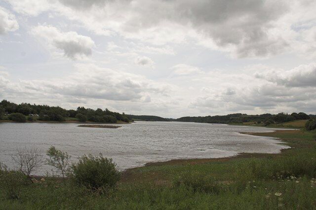 A river with a grassy bank and trees in the background.