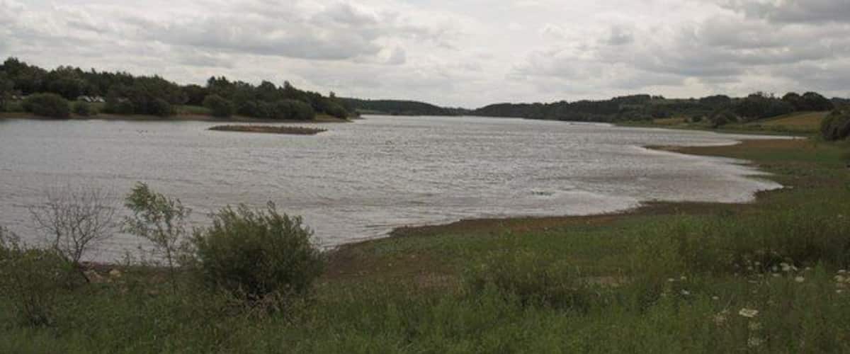 A river with a grassy bank and trees in the background.