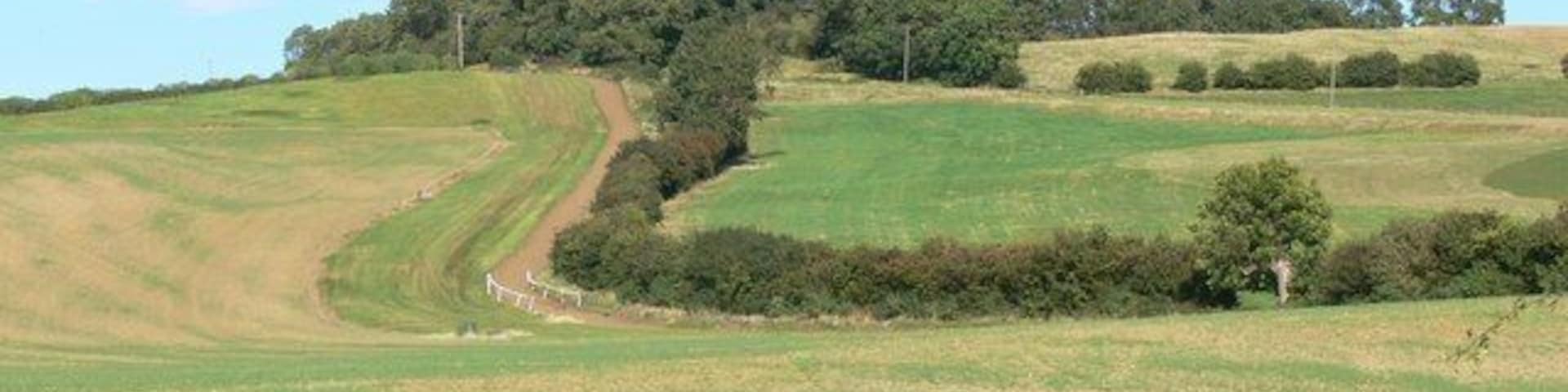 Leicestershire countryside To the north of Drayton Road in south Leicestershire.