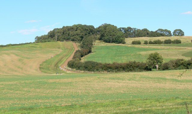 Rolling hills, a dirt path, and a forested hilltop.